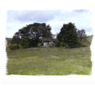 Delapidated cottage by the Whistle Inn